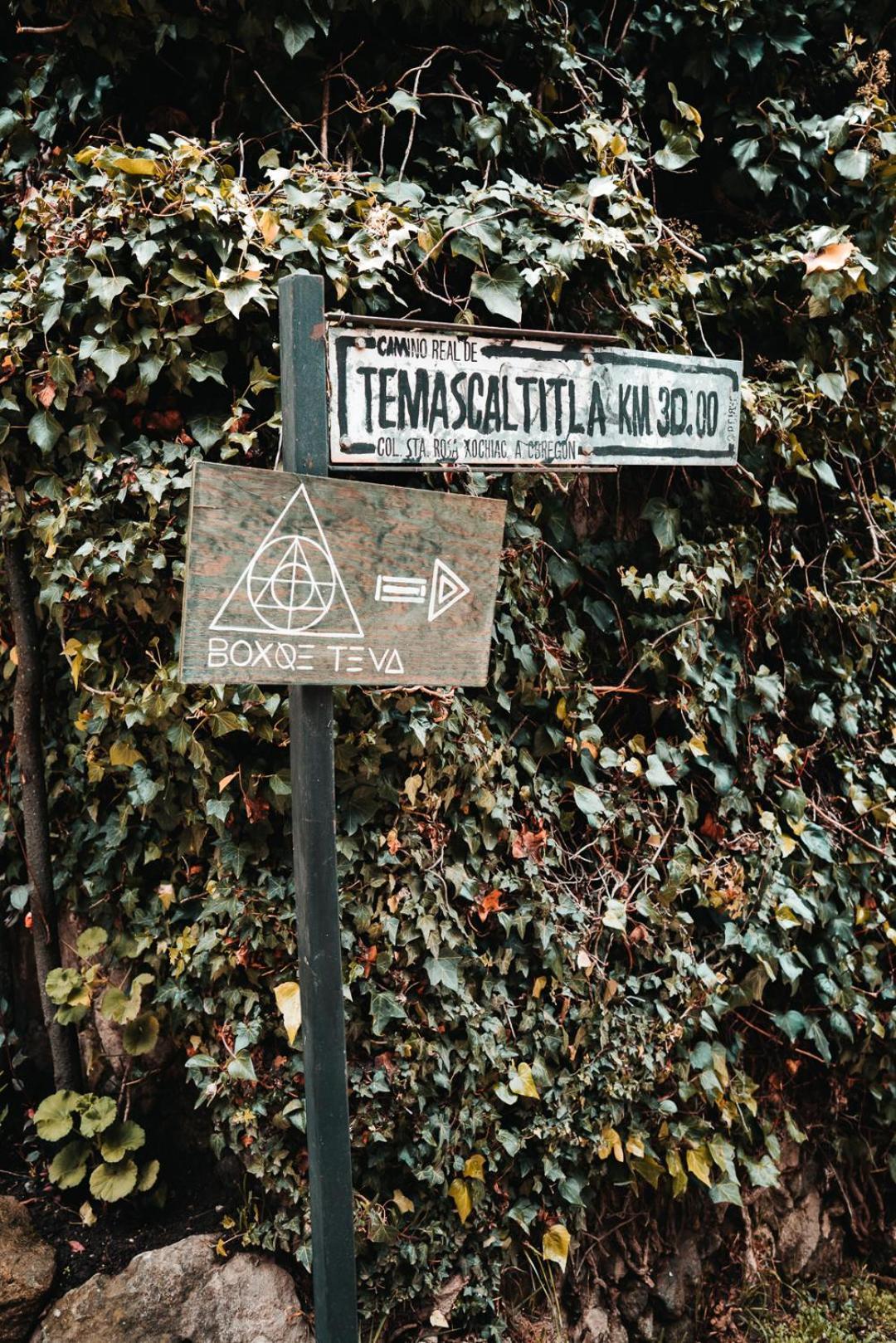 Hotel Boxque Teva à Mexico Extérieur photo