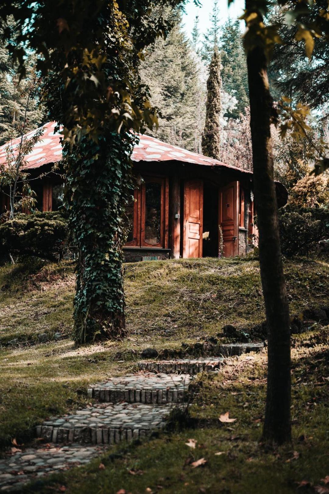 Hotel Boxque Teva à Mexico Extérieur photo